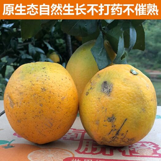 瑞金市 正宗赣南脐橙次果现采规格55―105