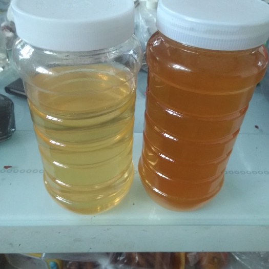 肃宁县中华蜜蜂 天然蜂蜜