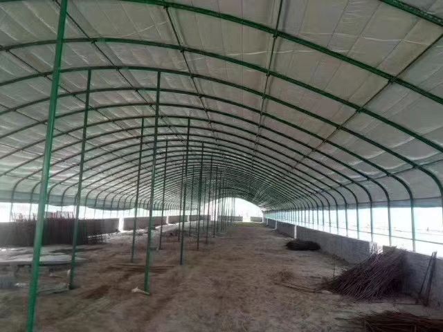 沭阳县蔬菜大棚 本公司，有单体大棚，连体大棚大棚配件