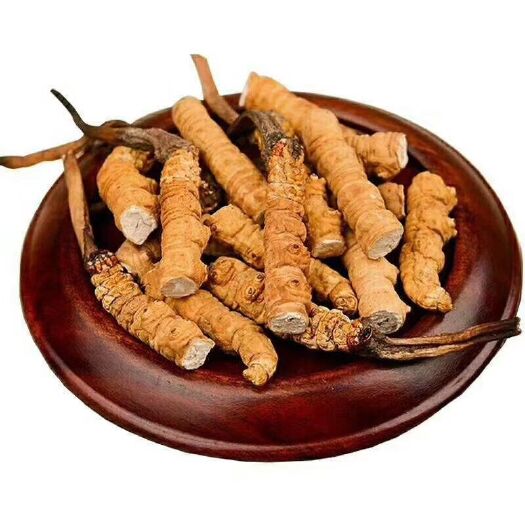 西宁 玉树冬虫夏草大断虫草