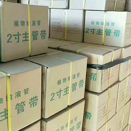 广州滴灌管  厂家直销农用水带灌溉设备节能灌溉2寸3寸主管浇水神