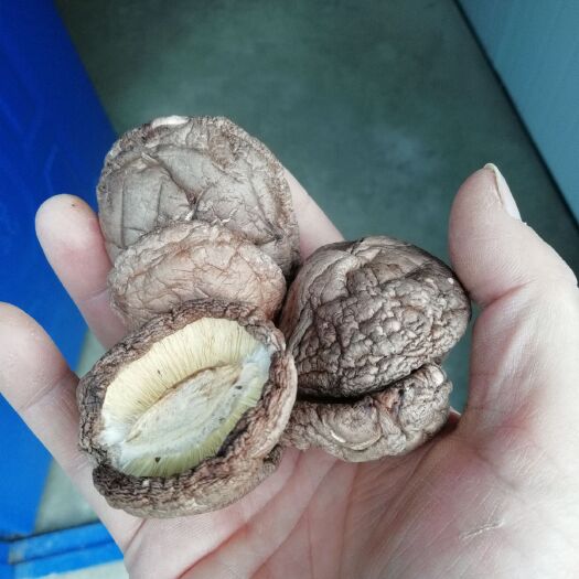 安康 精品干香菇