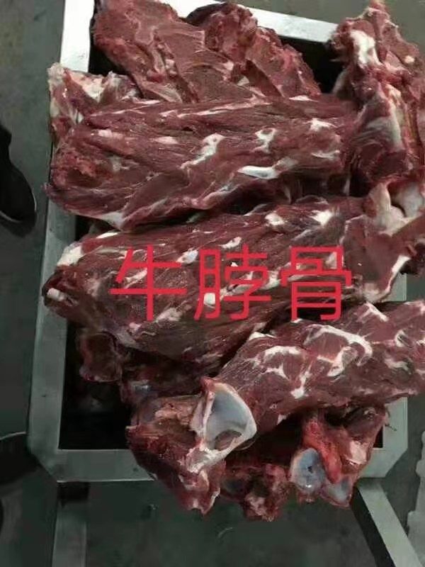 牛脖骨