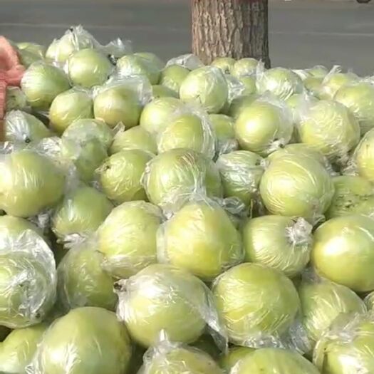 泊头市 膜袋皇冠梨