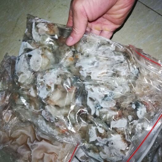南宁虾仁虾滑虾丸虾肉