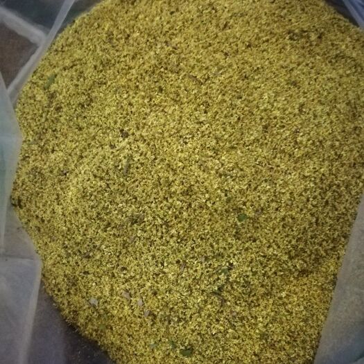 桂林 桂花瓣