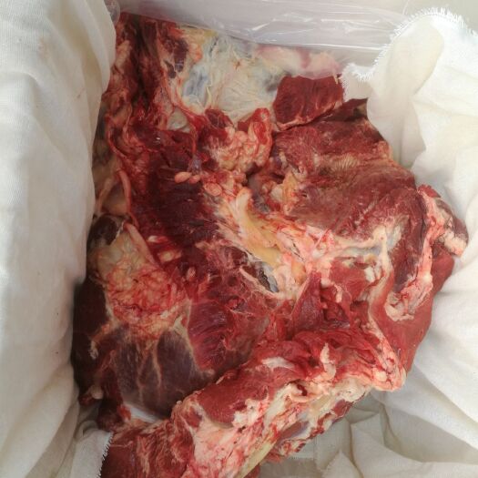 阳信县 牛肉