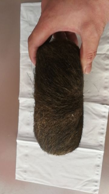  猪宝，风干品相好