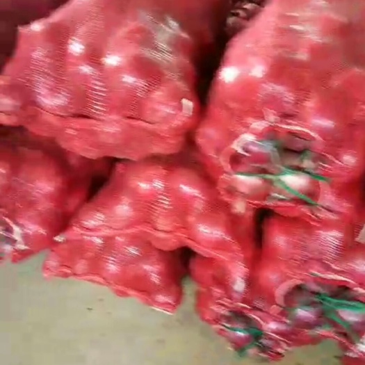 珠海 洋葱各种规格！欢迎各位老板下单