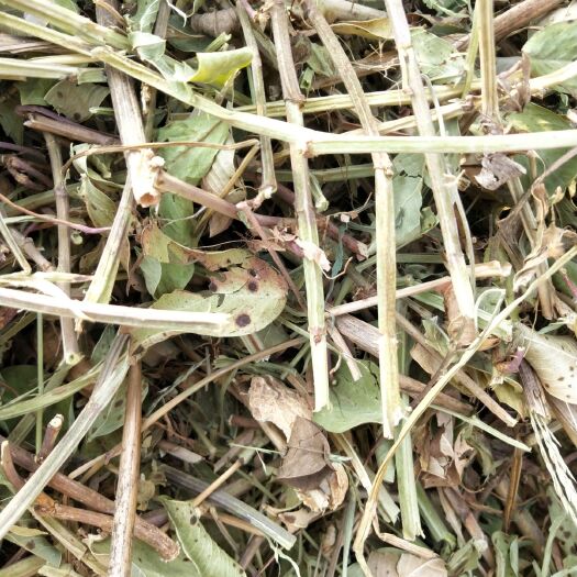 民权县花生秧 小草，除膜机加工好的，