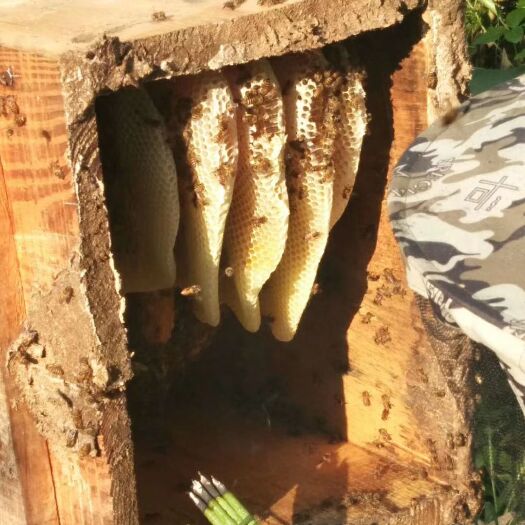 开阳县 正宗土蜂蜜