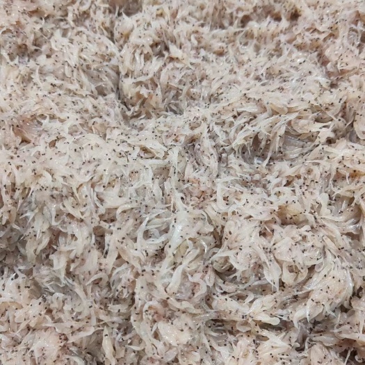 饲料虾 白虾养殖类饲料虾 鲜度佳，陆冻和船冻