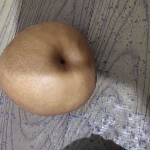 夏邑县晚秋黄梨 80mm以上 450-500g
