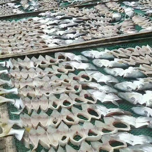遂溪县鲳鱼干 ，O添加剂，成色好，味道佳，量大价格可商议