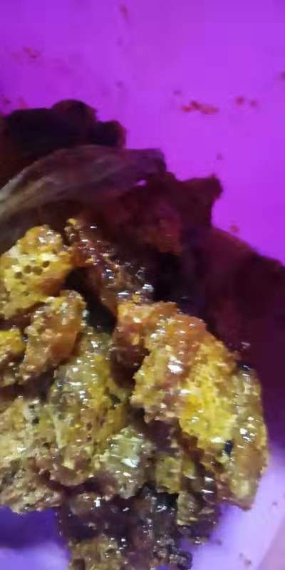 东兰县正宗土蜂蜜