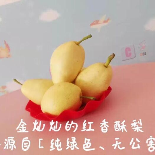北京 精品‘梨’ 鸭梨