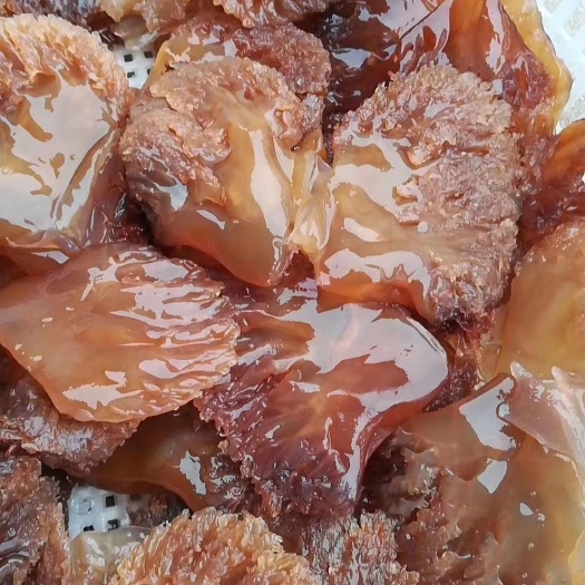 盖州市 渤海蜇头，值得品尝