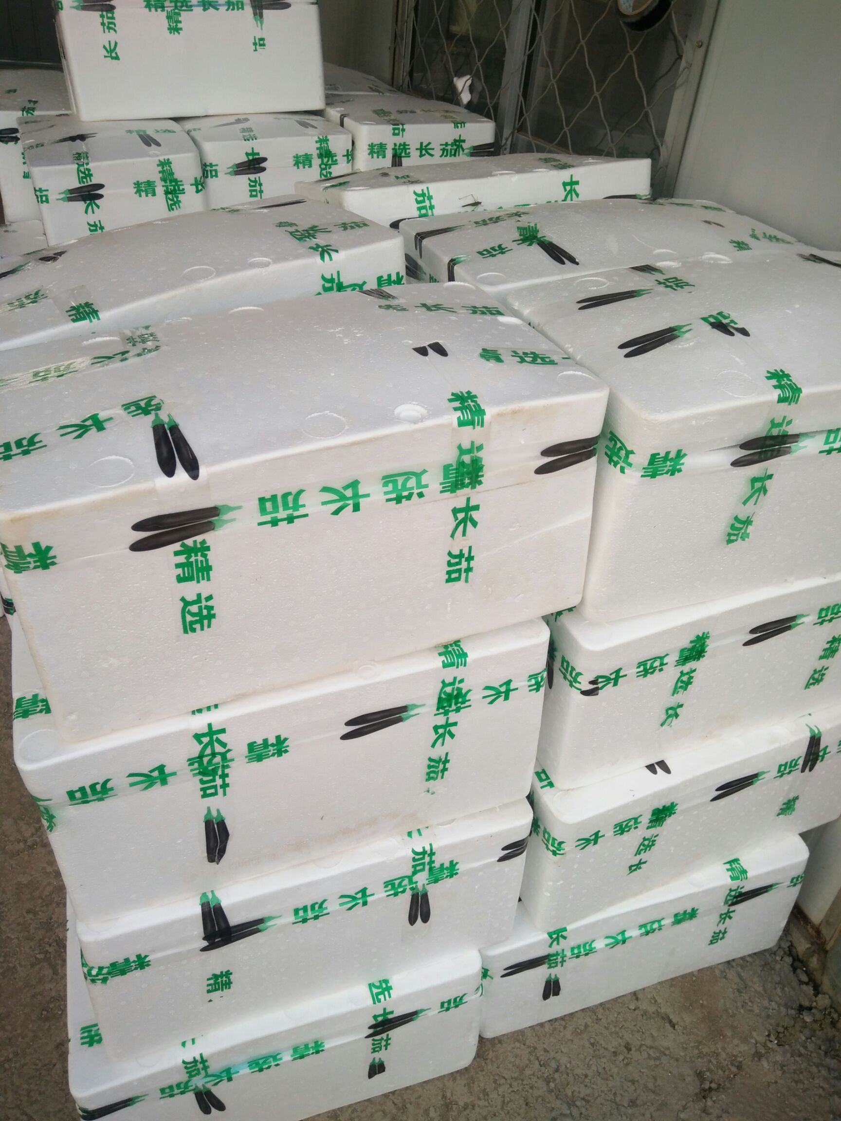 大龙茄子 高温掤小黑茄，大龙茄大量上市！