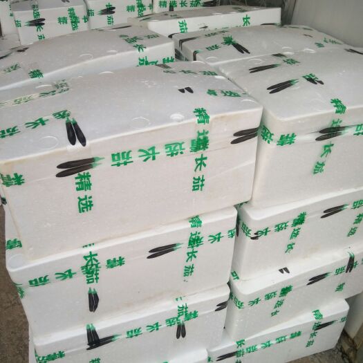 寿光市大龙茄子 高温掤小黑茄，大龙茄大量上市！