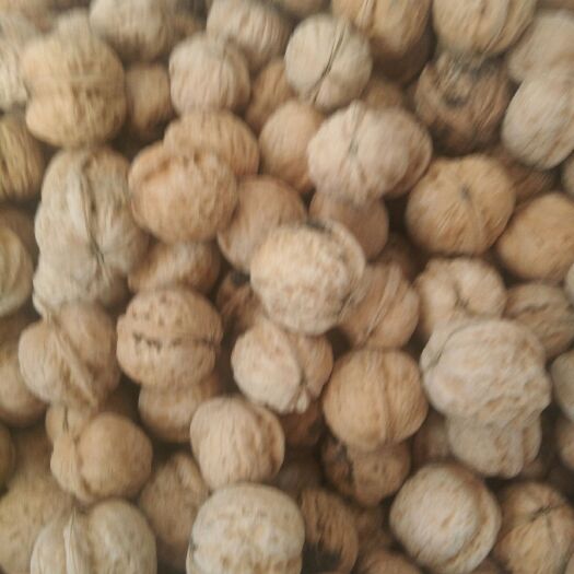 灵丘县 灵丘核桃