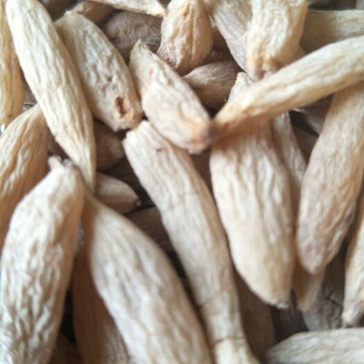 三台县 麦冬是天然的滋补品即可食补也可药补