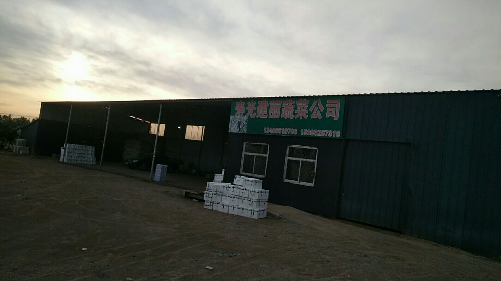 大龙茄子 高温掤小黑茄，大龙茄大量上市！