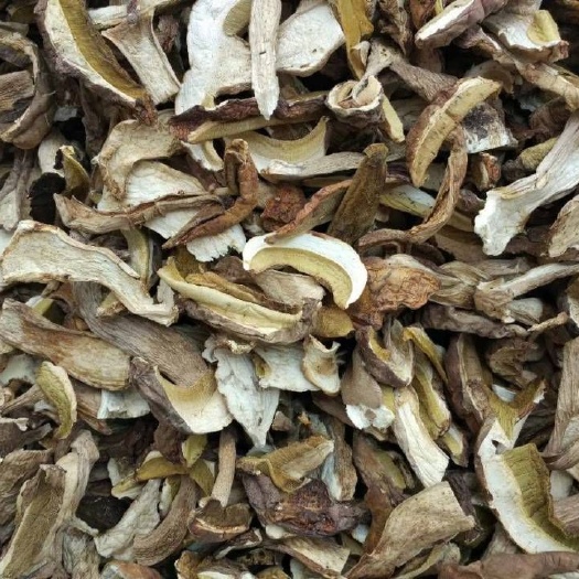 昆明 2019美味牛肝菌干片  出口 美味牛肝菌，欢迎洽谈采购