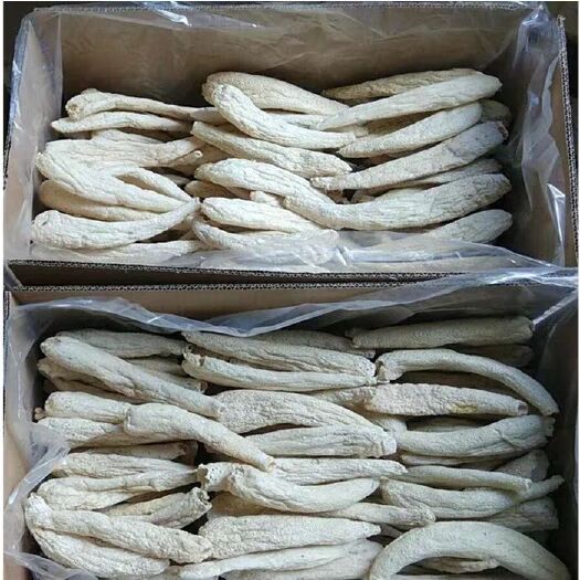 大方县 冬荪