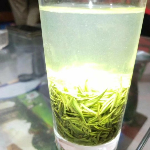 信阳 信阳毛尖 红茶 绿茶
