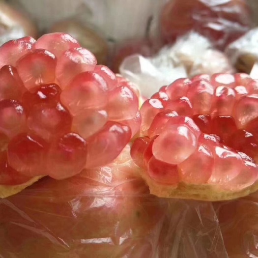 蒙自市临潼石榴 没有一次的客户。只有长期的客户！