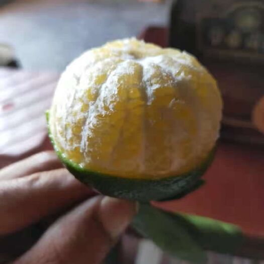 紫金县 皇帝柑脆爽可口