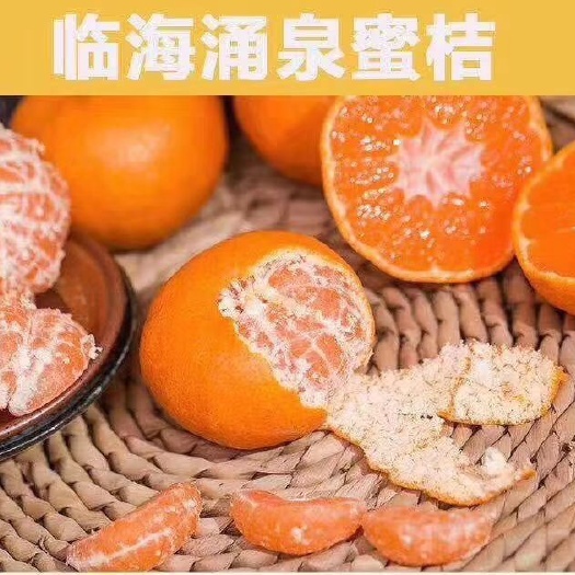 临海市 涌泉蜜桔自家果园   涌泉高山蜜桔