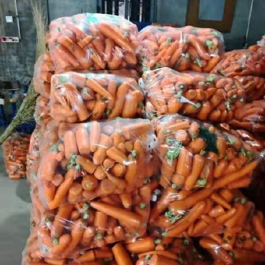 开封三红胡萝卜  养殖用胡萝卜，加工厂用胡萝卜，大吨位供应，量大从优，产地直销
