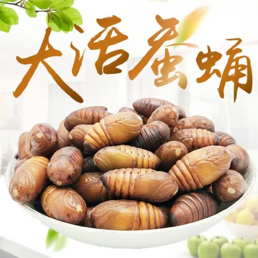 大石桥市寻求，批发市场蚕蛹合伙人