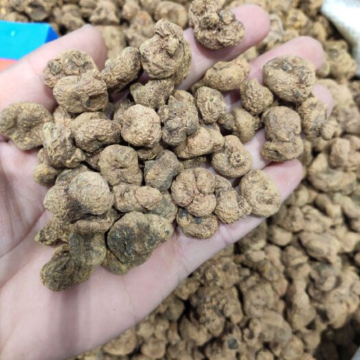 亳州元胡 包检验，各种规格