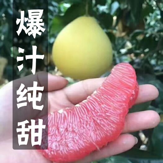 枝江市《优选》 红柚  白柚 蜜柚 汁水充足 纯甜爆汁 全国代发