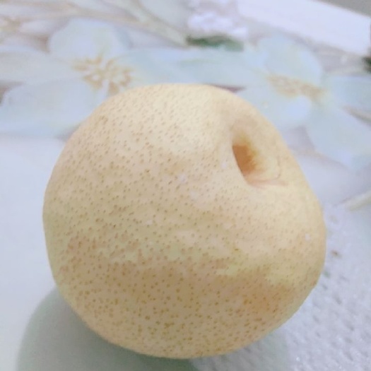 砀山县 砀山酥梨～虽然有好多人都卖，但我是最有诚信的！