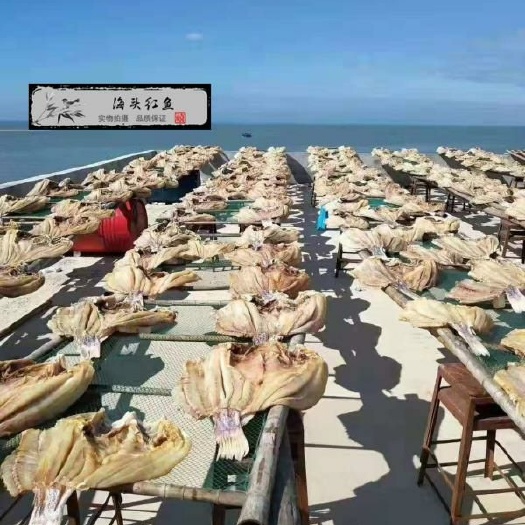 儋州市红鱼干 儋州海头红鱼干晒大鱼干
