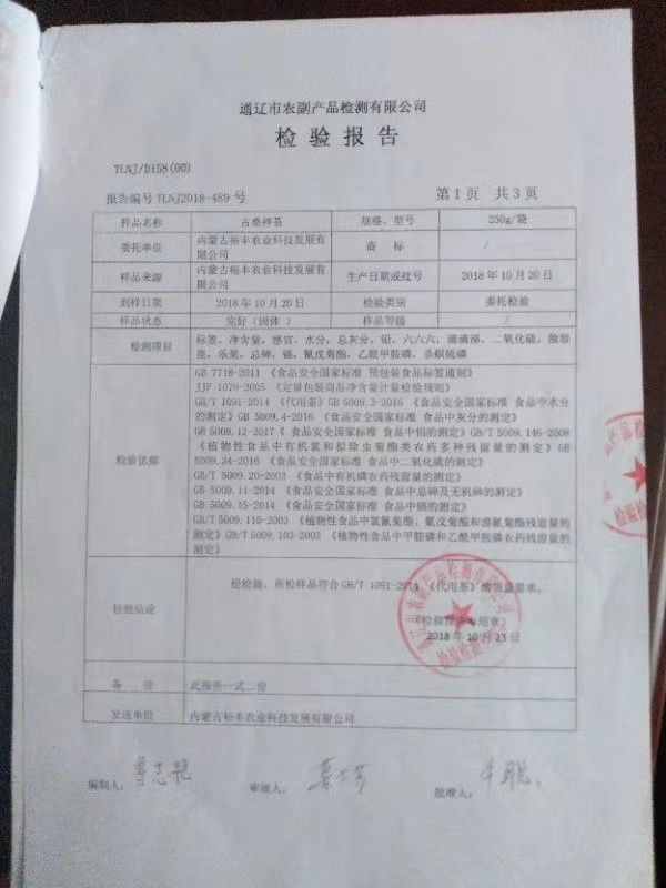 桑葚茶 大清国母孝庄皇太后故里科尔沁草原古桑神茶