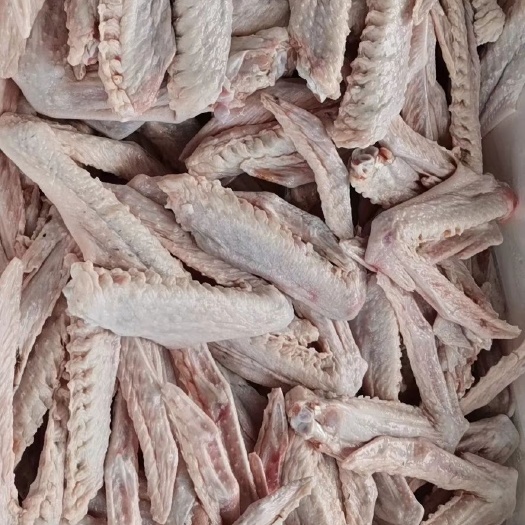 肇庆黑棕鹅鹅掌翼