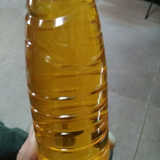 江永县 山茶油，物理压榨