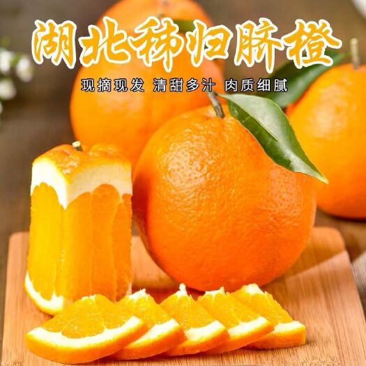 秭归县 【火】宜昌秭归脐橙，产地直供 诚信经营
