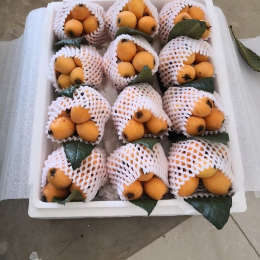 蒙自市 云南省蒙自市《靓鲜多》农民水果专业合作社
有大量优质枇杷供