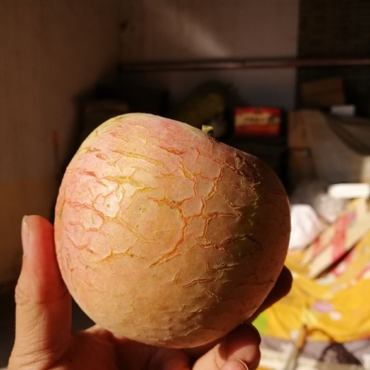  山西丑苹果，10斤包邮