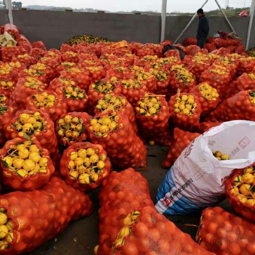 麻阳县麻阳冰糖橙优势价格产地直发专业代办诚信合作按需分装