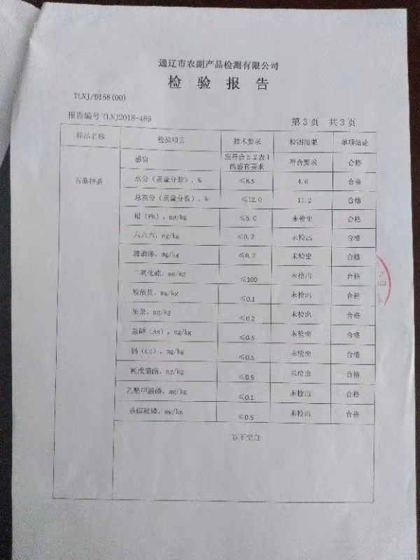 桑葚茶 大清国母孝庄皇太后故里科尔沁草原古桑神茶
