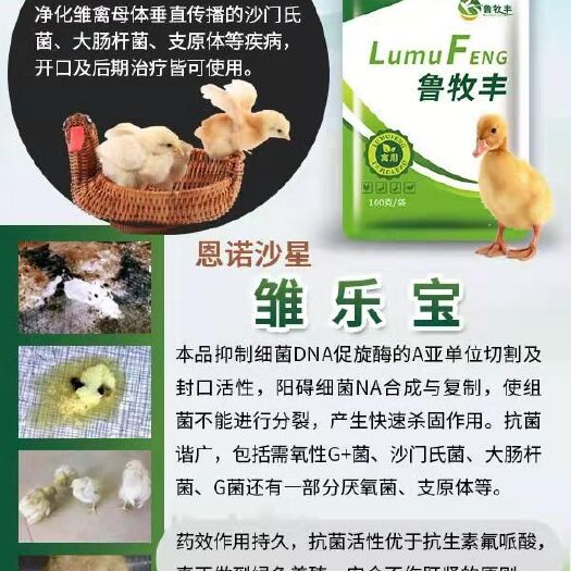 潍坊鸡鸭饲料 雏鸡开口，预防大肠杆菌沙门氏菌，腺胃炎，腺肌胃炎