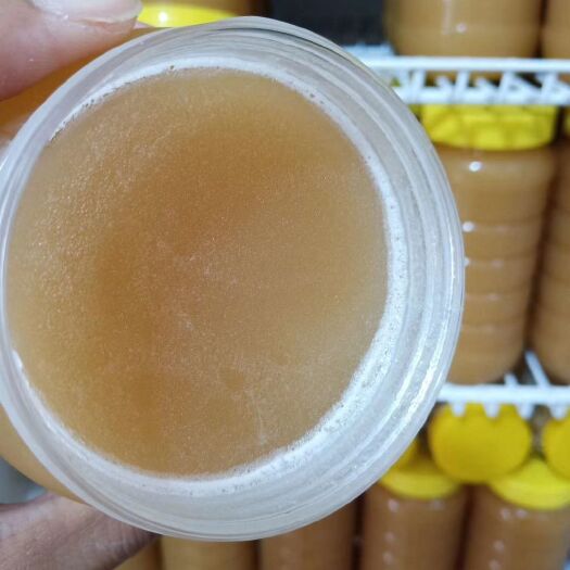 东莞市 鸭脚木蜂蜜(冬蜜)