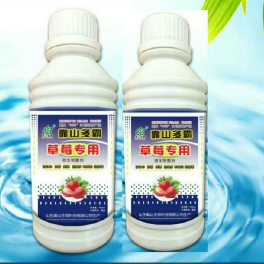济南复合微生物菌剂 靠山多霸草莓专用型
