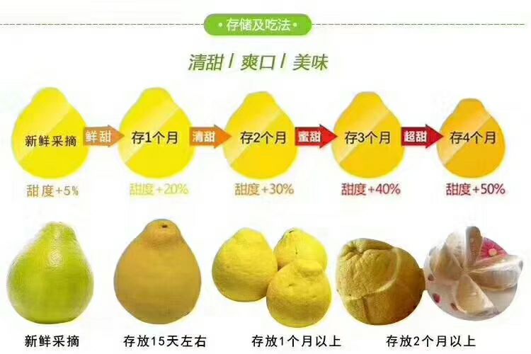  沙田柚